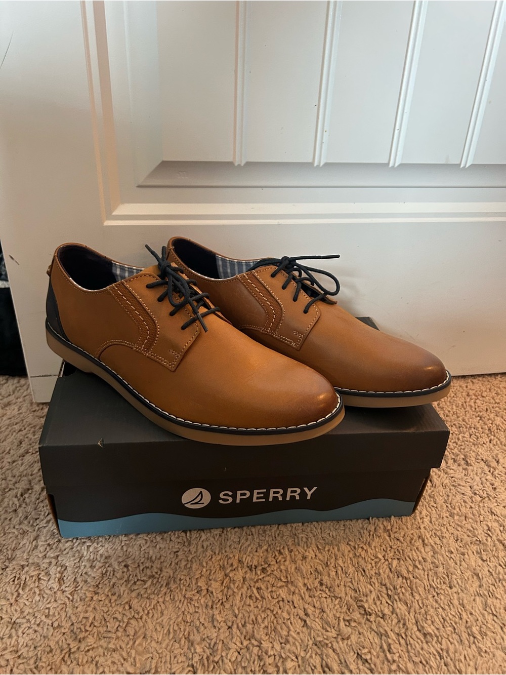 Sperry Men's Cognac Leather Derby with Black Accents